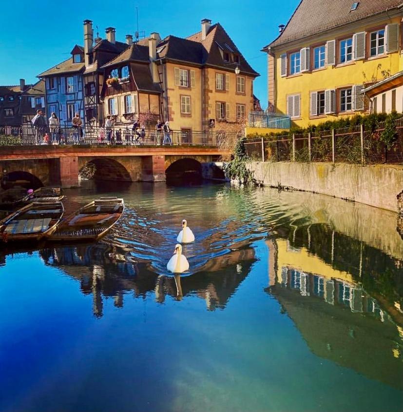 Maison 1708 - rue du canard - city center Colmar Extérieur photo